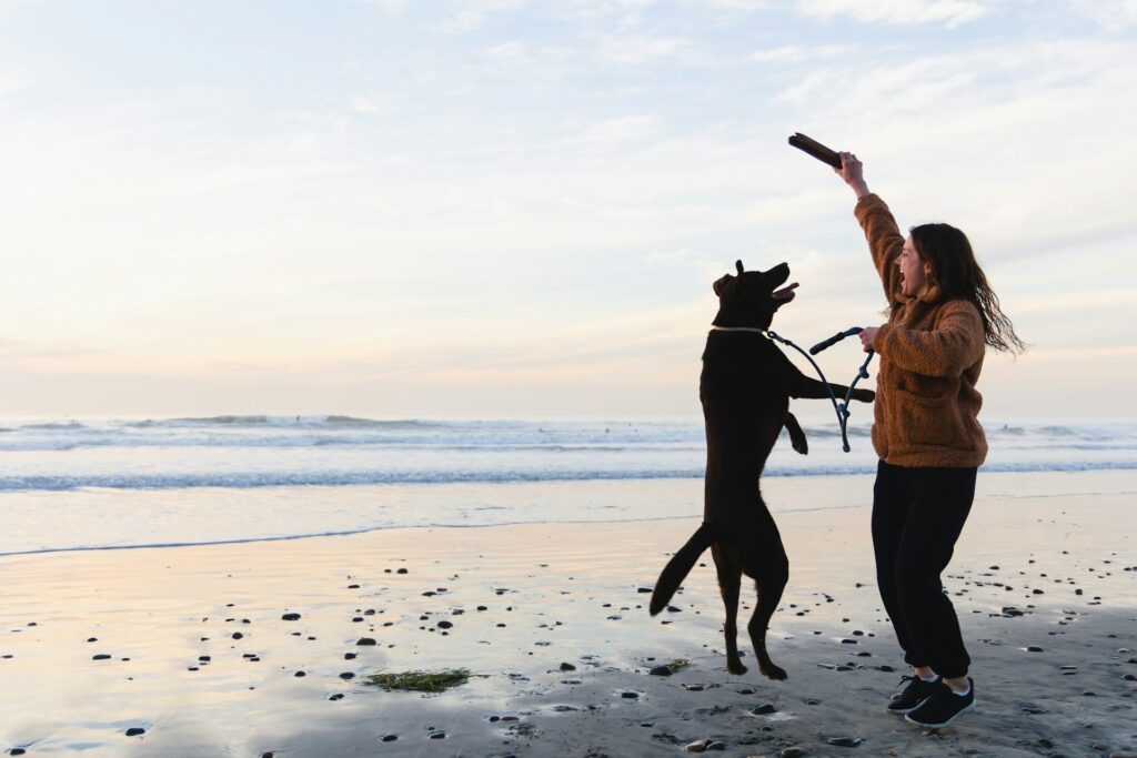 a person and a dog on a beach
