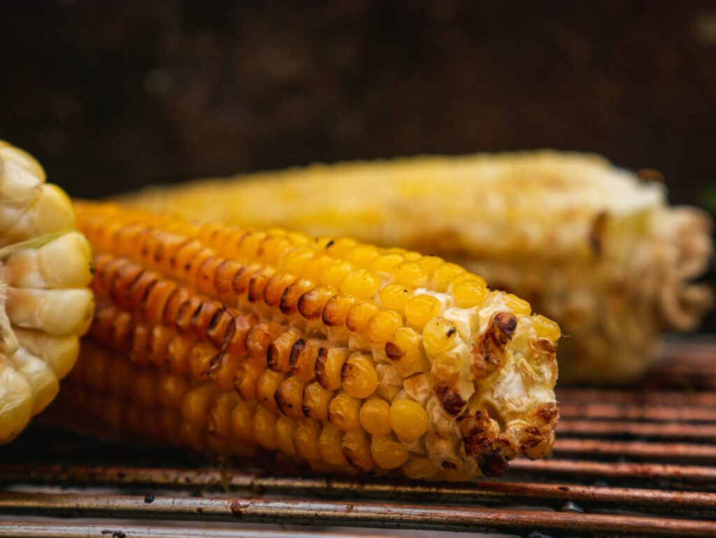 yellow corn on stainless steel tray
