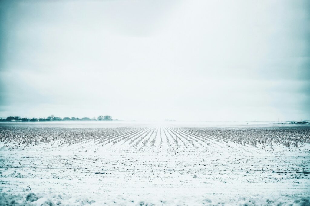 white field during daytime
