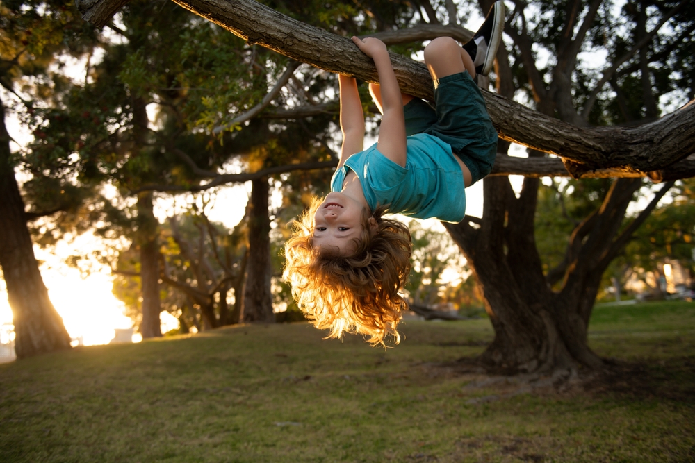 Funny child climbing a tree in the garden. Active kid playing outdoors. Portrait of cute kid boy sitting on the branch tree on sunny day. Child climbing a tree. Childhood concept.
