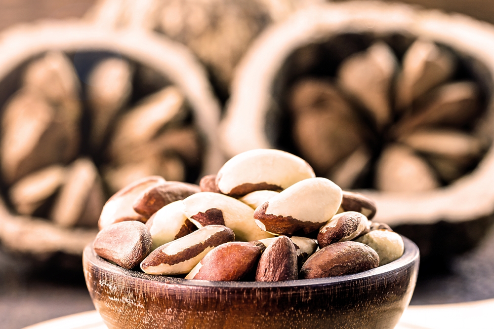 Brazil nut, popularly known in Portuguese as "Pará nut", Amazon nut, Bolivian nut, Toquei or Tururi. Foods with healthy unsaturated fat.
