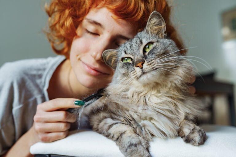 If Your Cat Does These 8 Things, It’s Pure Love - Featured image