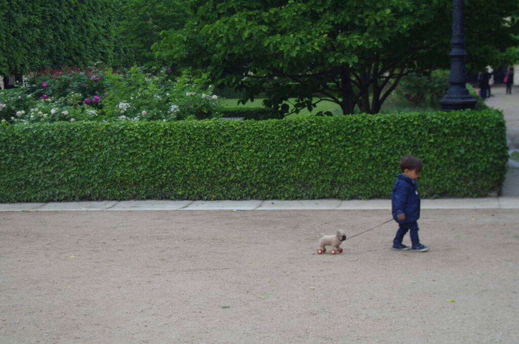 a little boy walking a small dog on a leash

