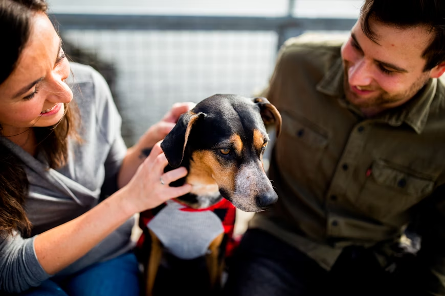 family dog image