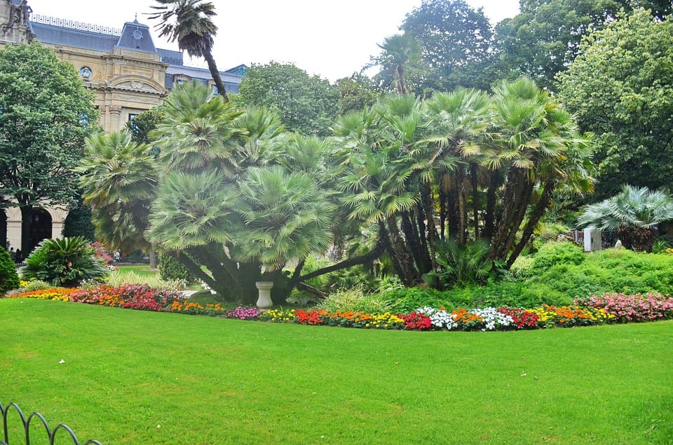 garden image