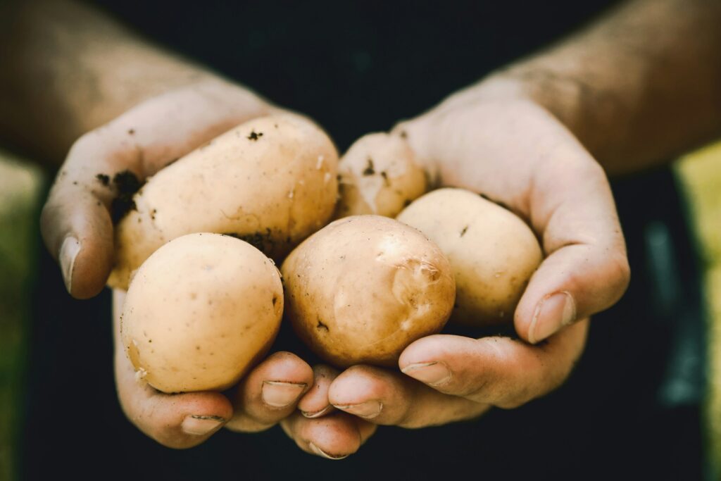 bunch of potatoes
