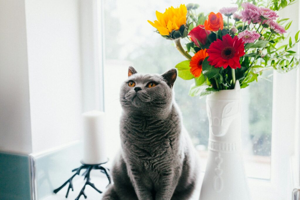 Russian blue cat standing near ceramic vase with artificial flowers
