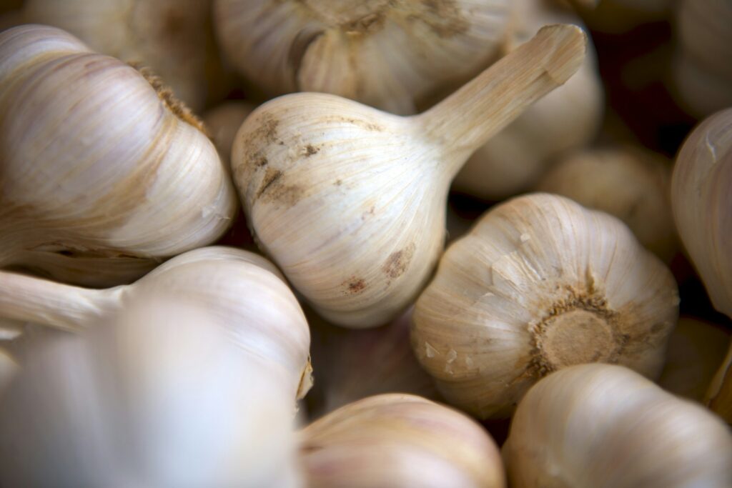 selective focus photography of onion
