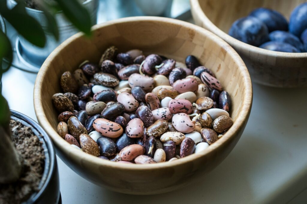 assorted pebbles
