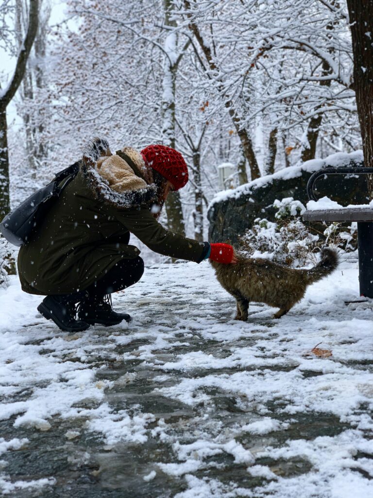 man in black jacket and red knit cap sitting on snow covered ground with brown dog
