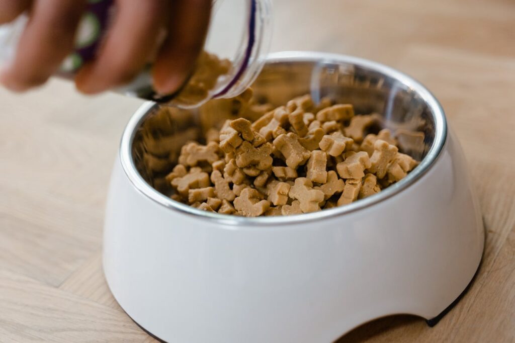 Hand Putting Dog Treats on Bowl
