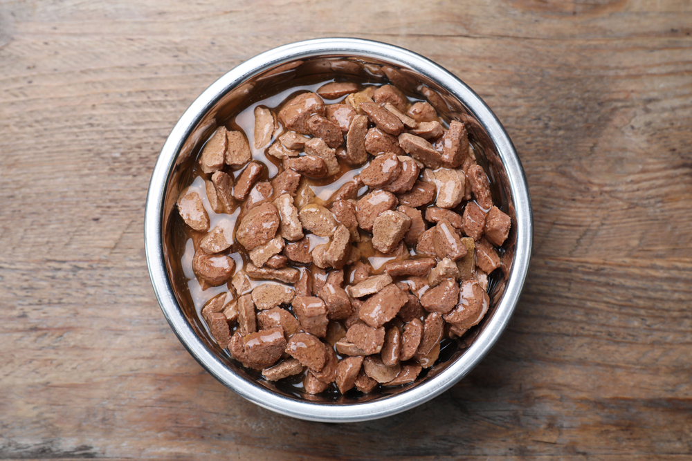 Wet pet food in feeding bowl on wooden table, top view

