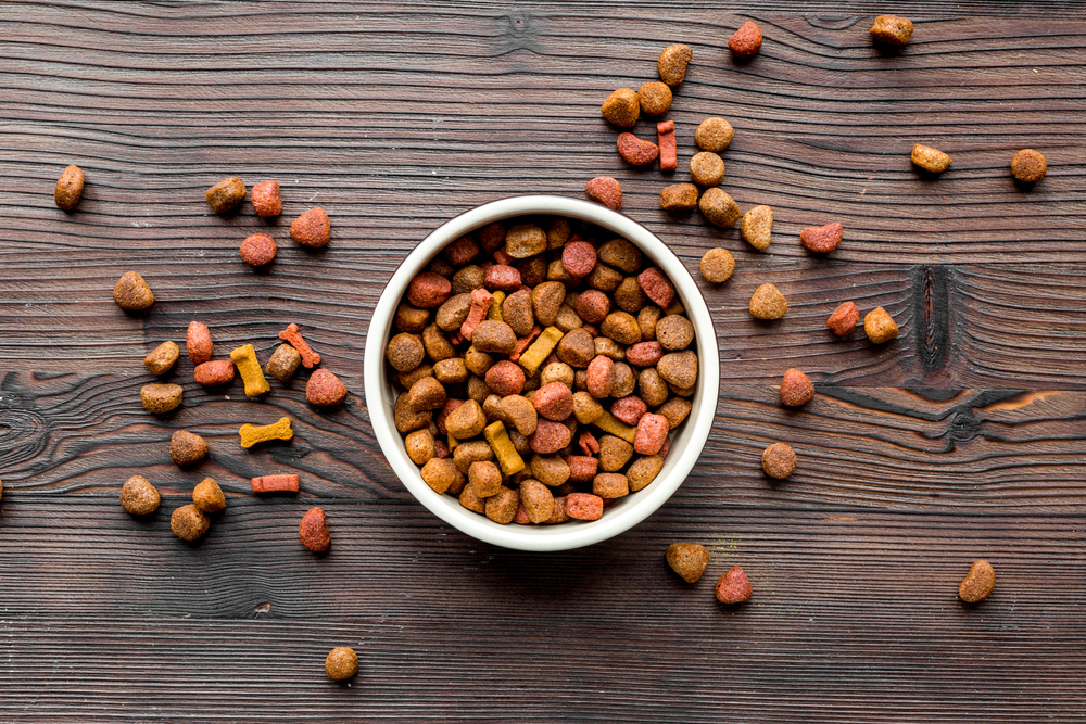 dry dog food in bowl on wooden background top view
