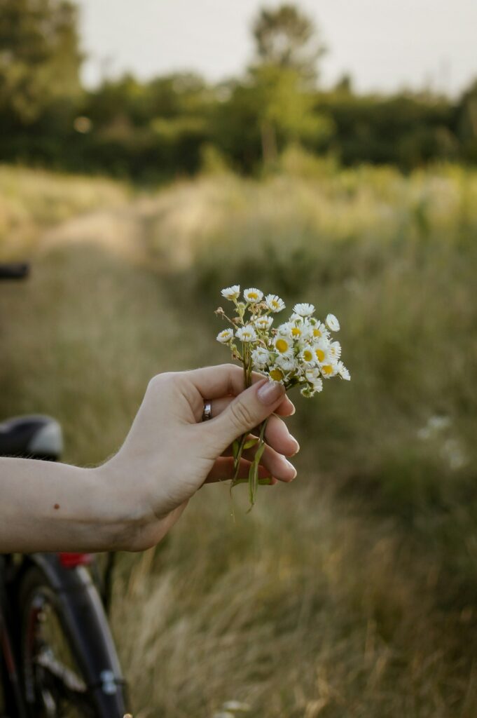 white and yellow flower in persons hand
