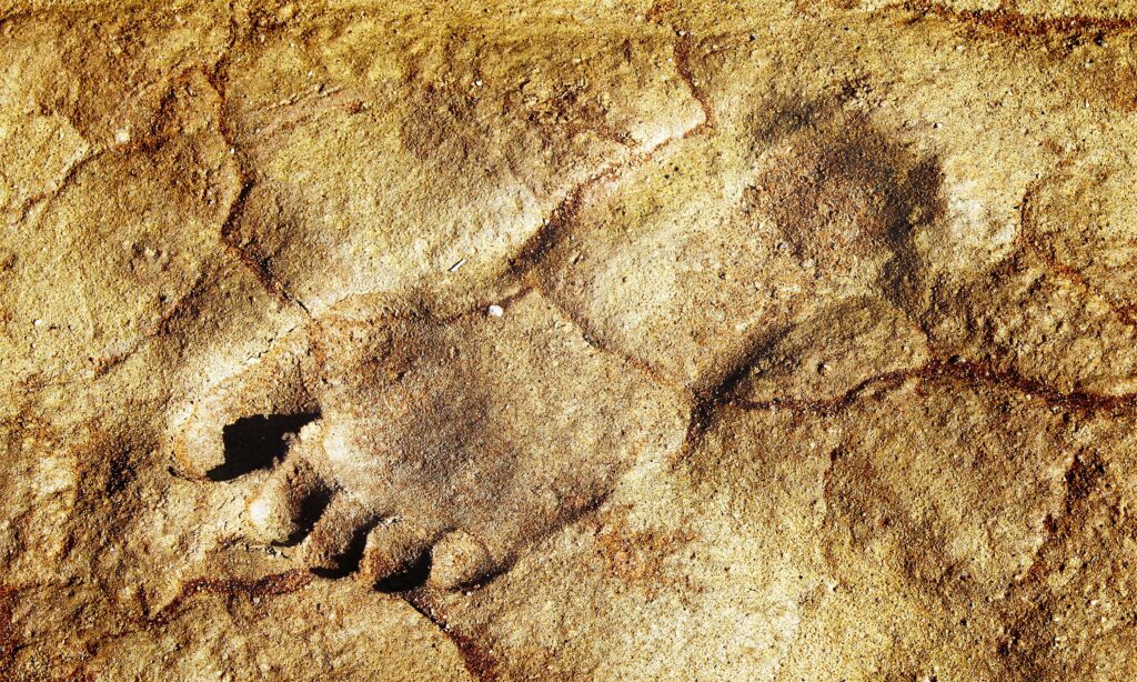 115,000-Year-Old Human Footprints Found in a Place They Were Never Supposed to Exist - Featured image