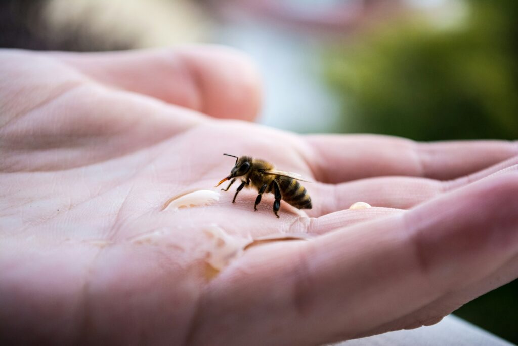 yellow bee on hand
