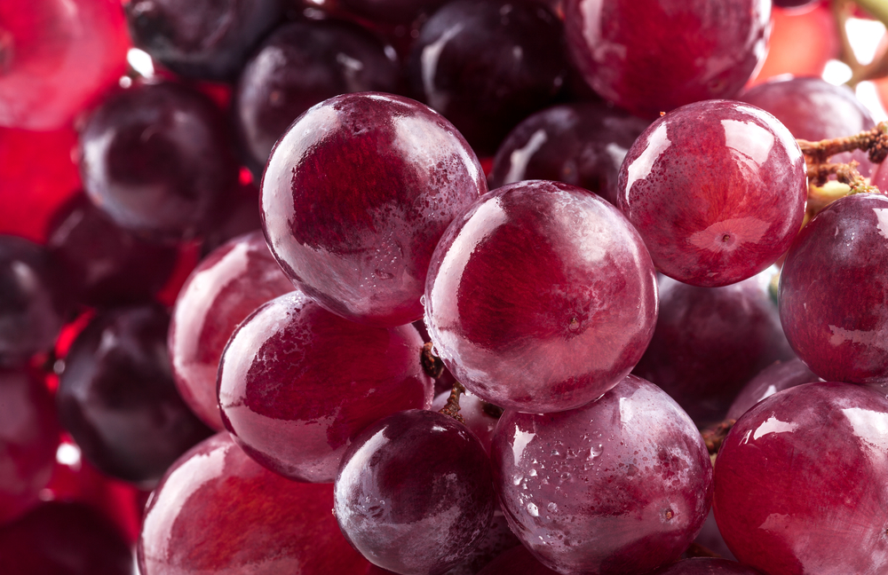 Red grape with water drops, closeup background