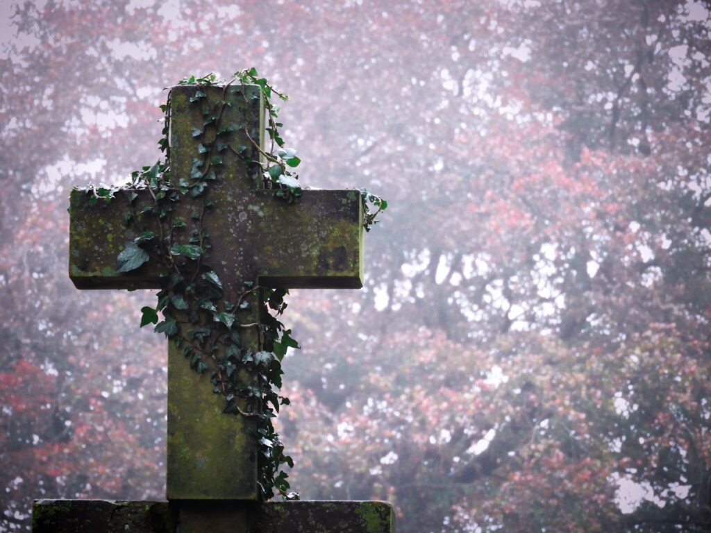 A cross with vines growing on it in front of a forest
