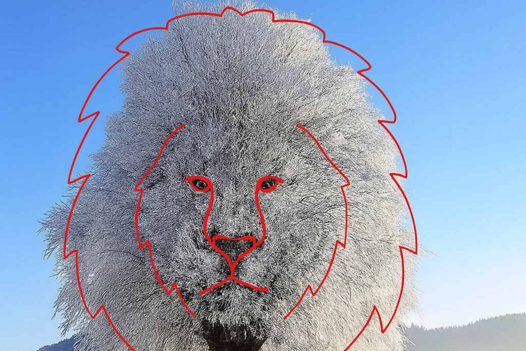 red outline of lion's face over white tree