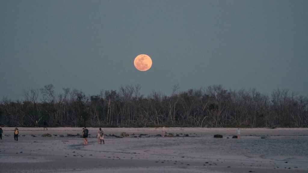 Scenic Florida Beach at Twilight with Full Moon