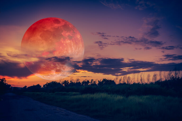 Will Tonight’s Supermoon Bring Chaos or Calm for Your Sign in November? - Featured image