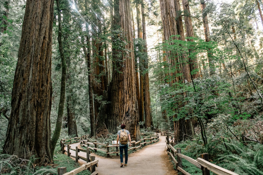 man-wearing-gray-t-shirt-standing-in-forest