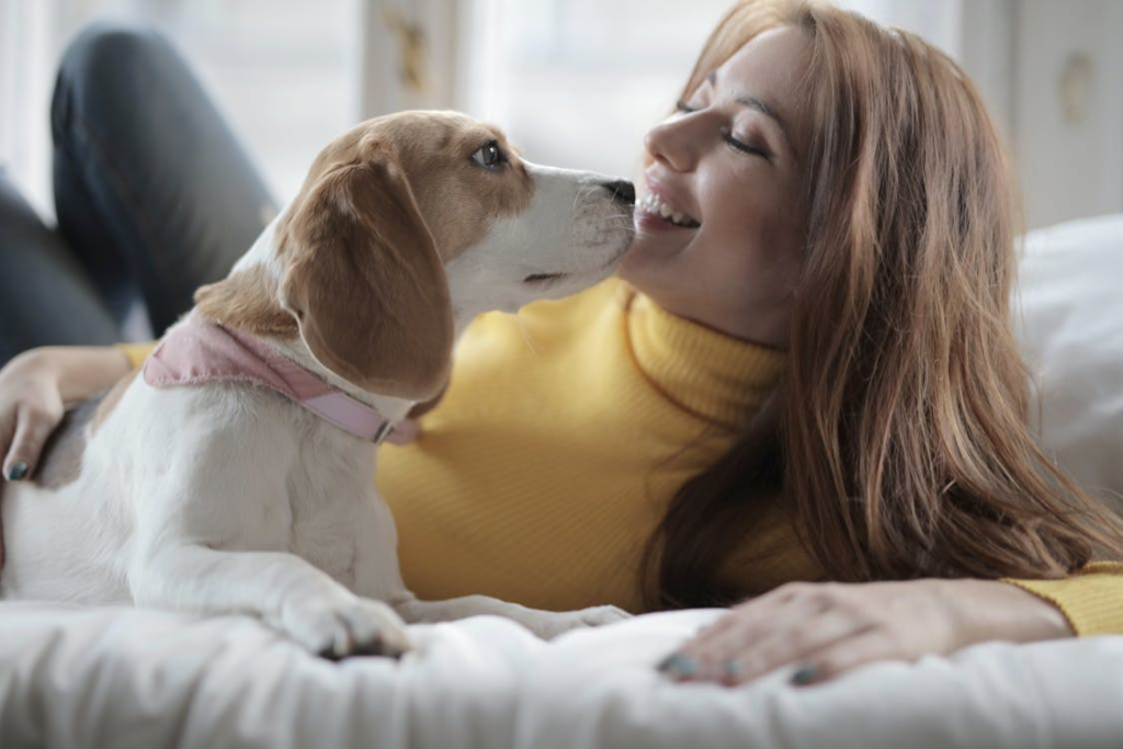 Woman in Yellow Turtle Neck Sweater Lying with White and Brown Short Coated Beagle Dog