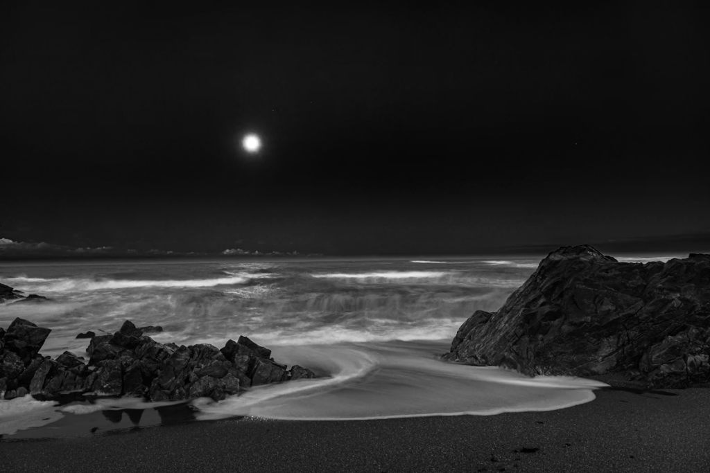 Moonlit shoreline, black and white
