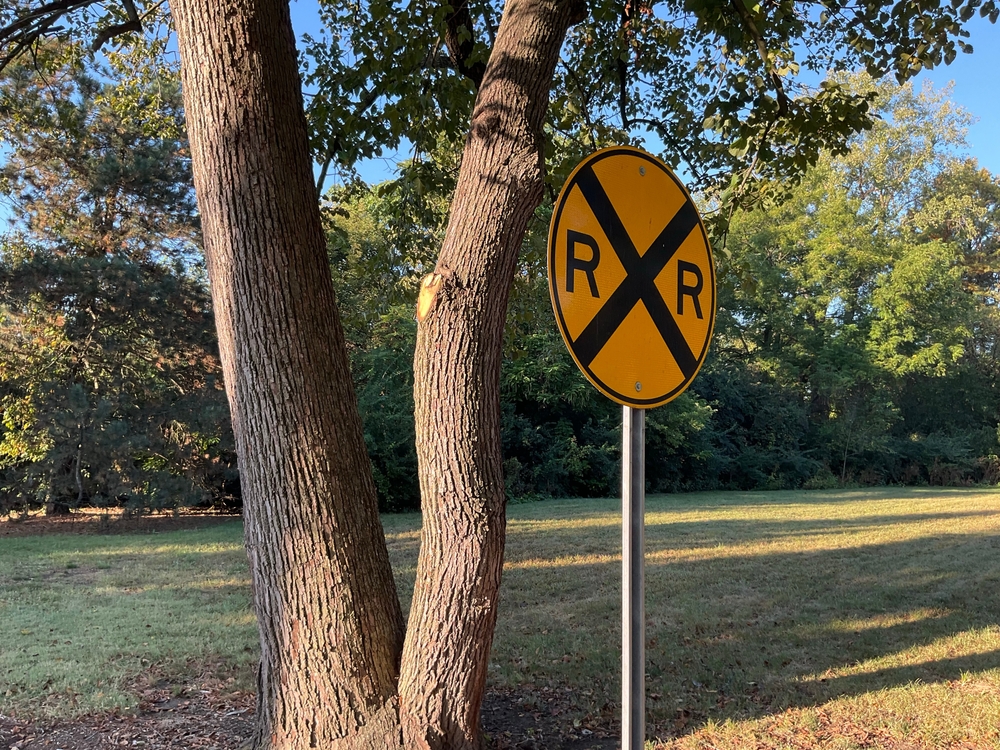 Railroad crossing sign and tree in the morning