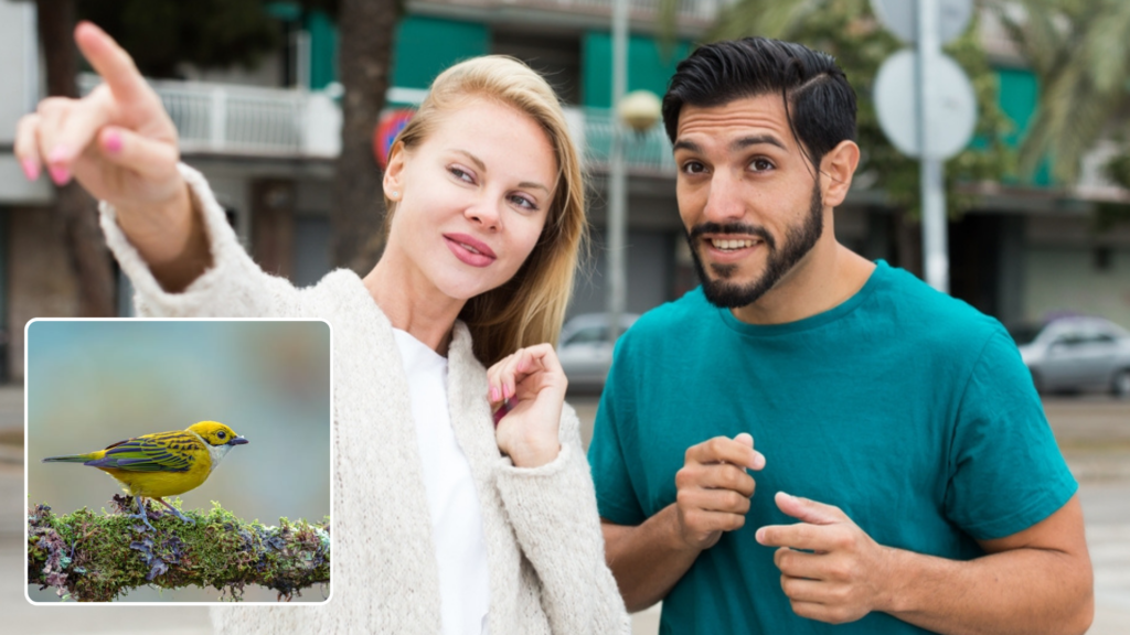 More Couples Are Using Birds To Test Their Relationship - Featured image