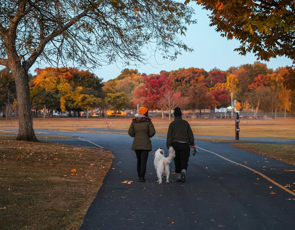 two people walking on a road with a white dog