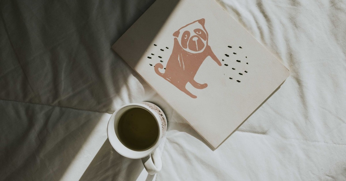 Flat lay of a cup of coffee and a book with a dog illustration on a bed, bathed in morning light.