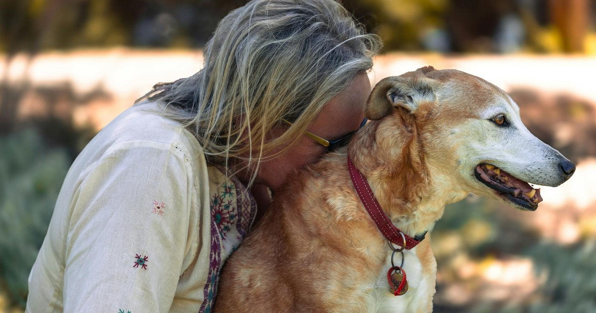 Beautiful outdoor moment capturing a tender interaction between a person and their beloved dog.