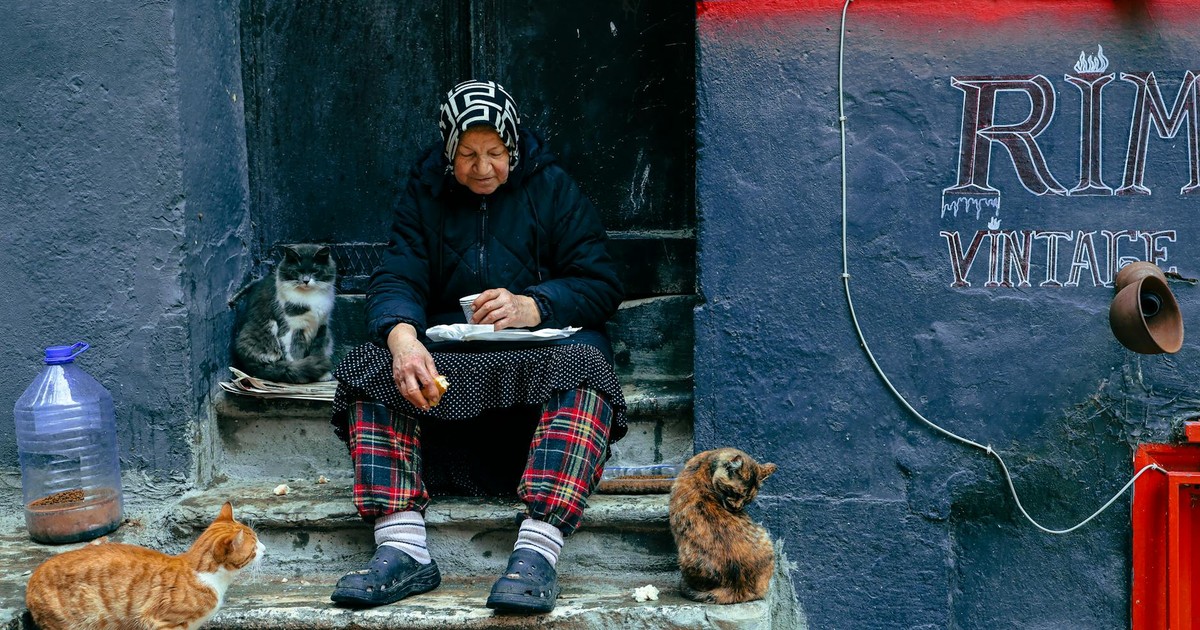 An elderly woman sits on stairs feeding cats in an urban setting, representing daily life and companionship.