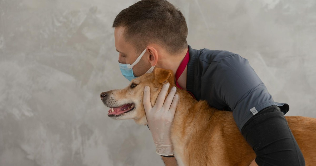 A caring veterinarian embraces a happy dog during a routine checkup. Captures empathy and professionalism.