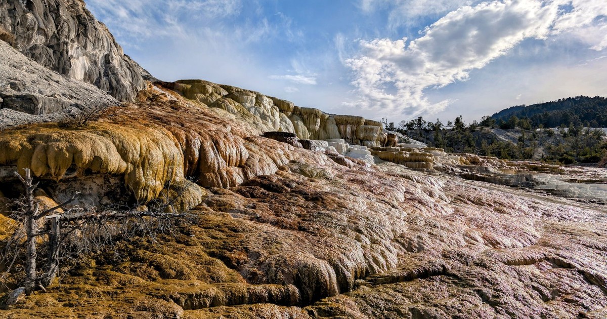 Colorful terraced rock formations under a bright sky at Yellowstone's Minerva Terrace.