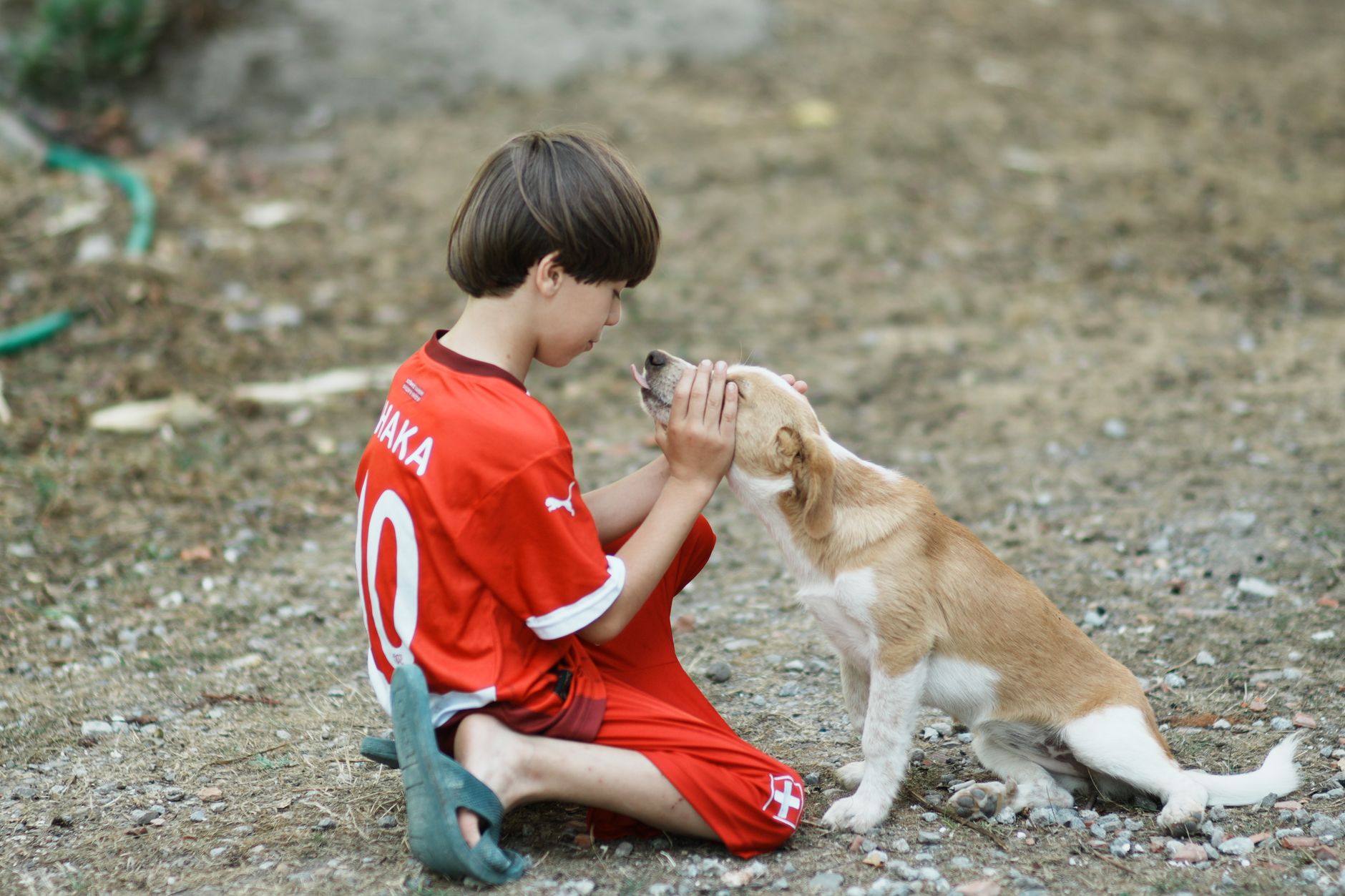 A boy wearing a red jersey playing affectionately with a small dog outside.