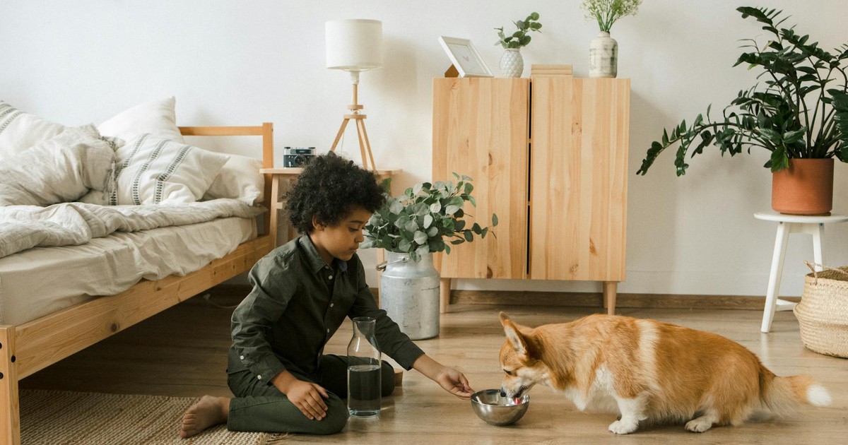 Child feeding a Corgi water in a cozy bedroom with plants and natural decor.