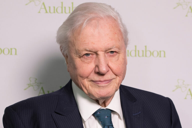 David Attenborough is returning to narrate Blue Planet III at 100 years old - Featured image