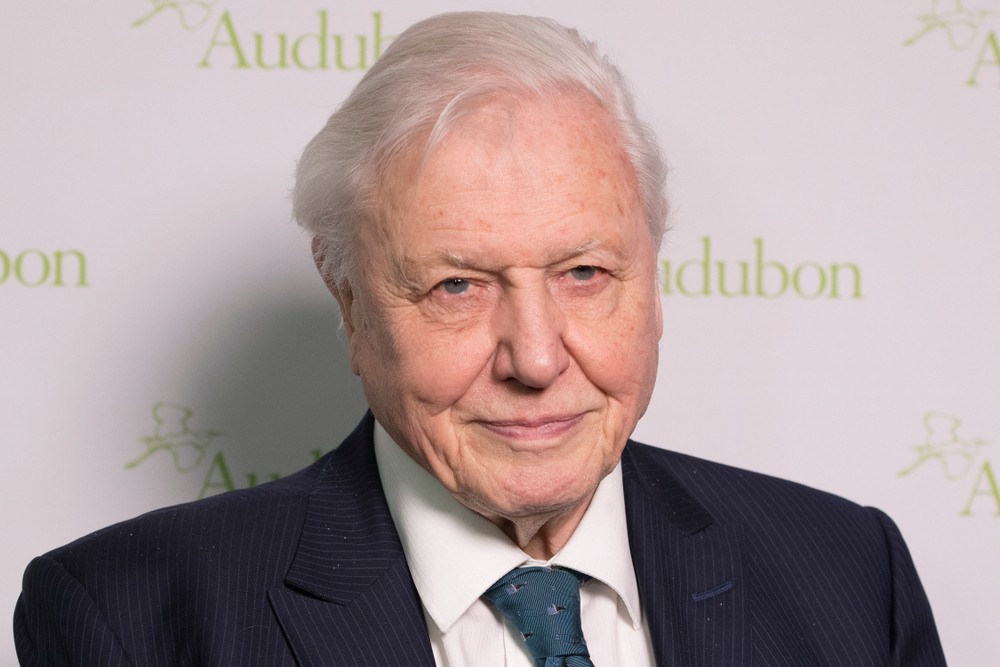 David Attenborough is returning to narrate Blue Planet III at 100 years old - Featured image