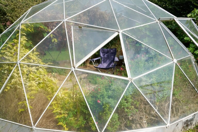 19 Best DIY Greenhouse Ideas to Try This Year - Featured image