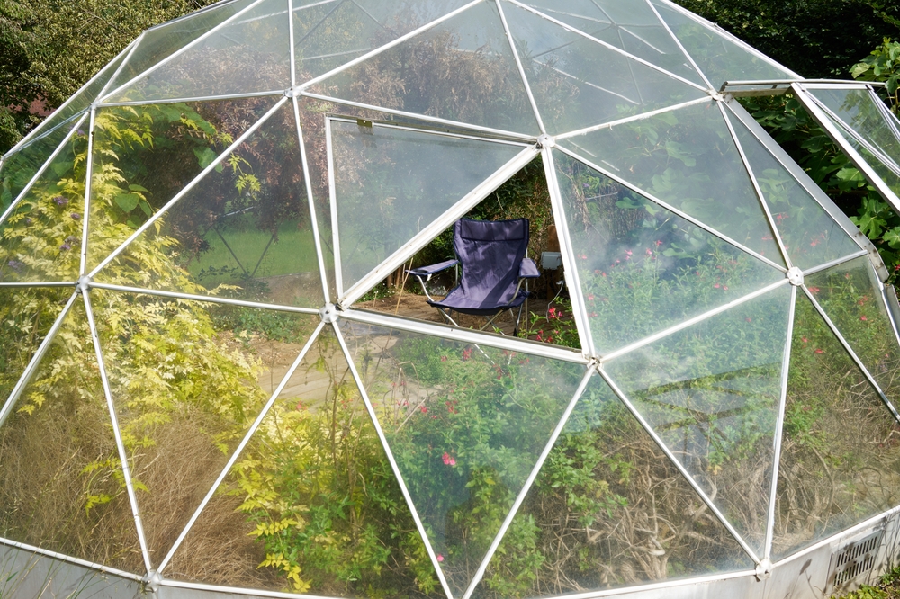19 Best DIY Greenhouse Ideas to Try This Year - Featured image