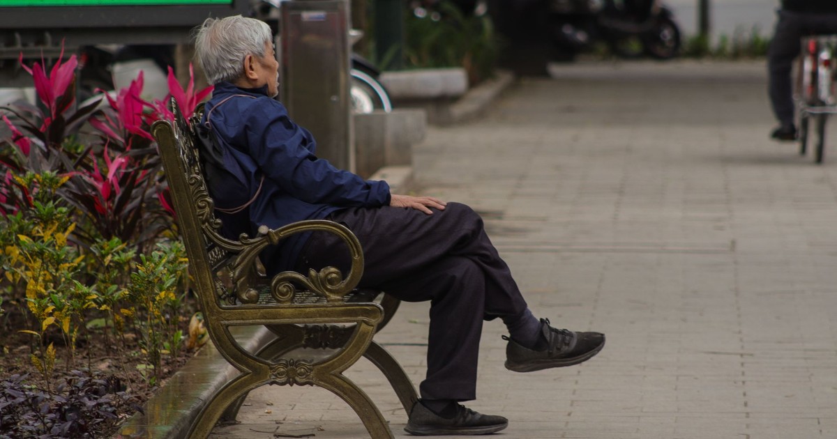 Elderly man sitting on a park bench in solitude, surrounded by urban greenery.