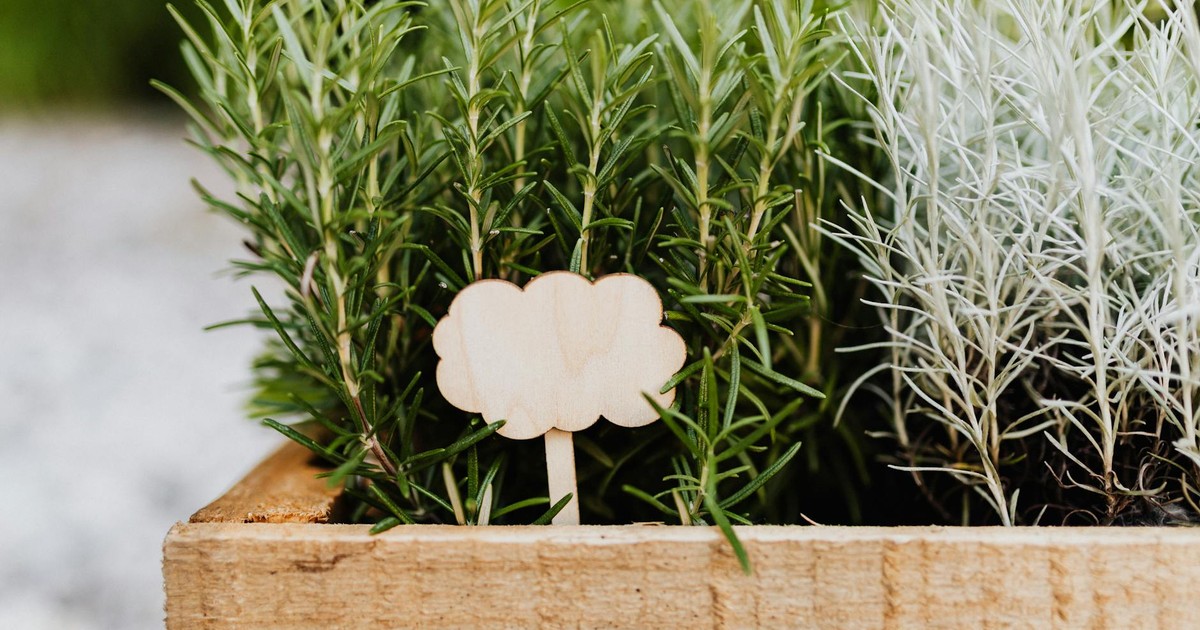 A wooden crate filled with fresh rosemary and lavender plants, featuring and a cloud-shaped sign.