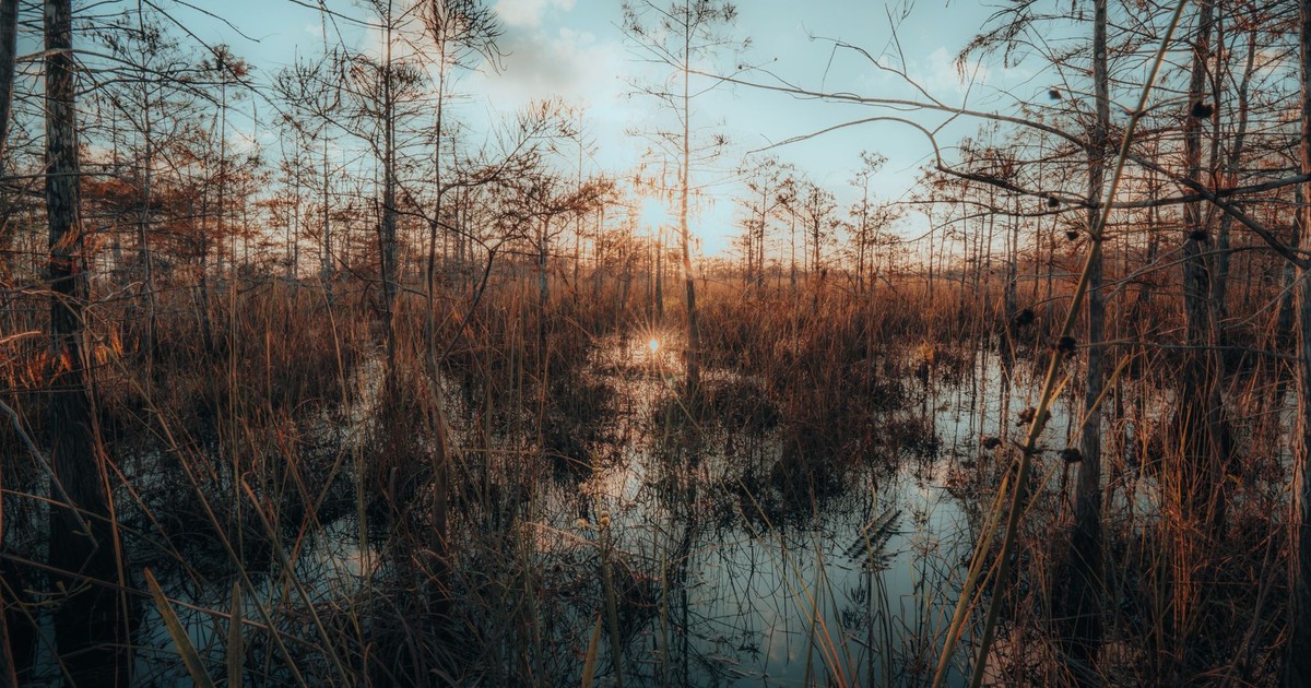 Captivating sunset over the Everglades wetlands, showcasing the tranquil landscape and nature's beauty.