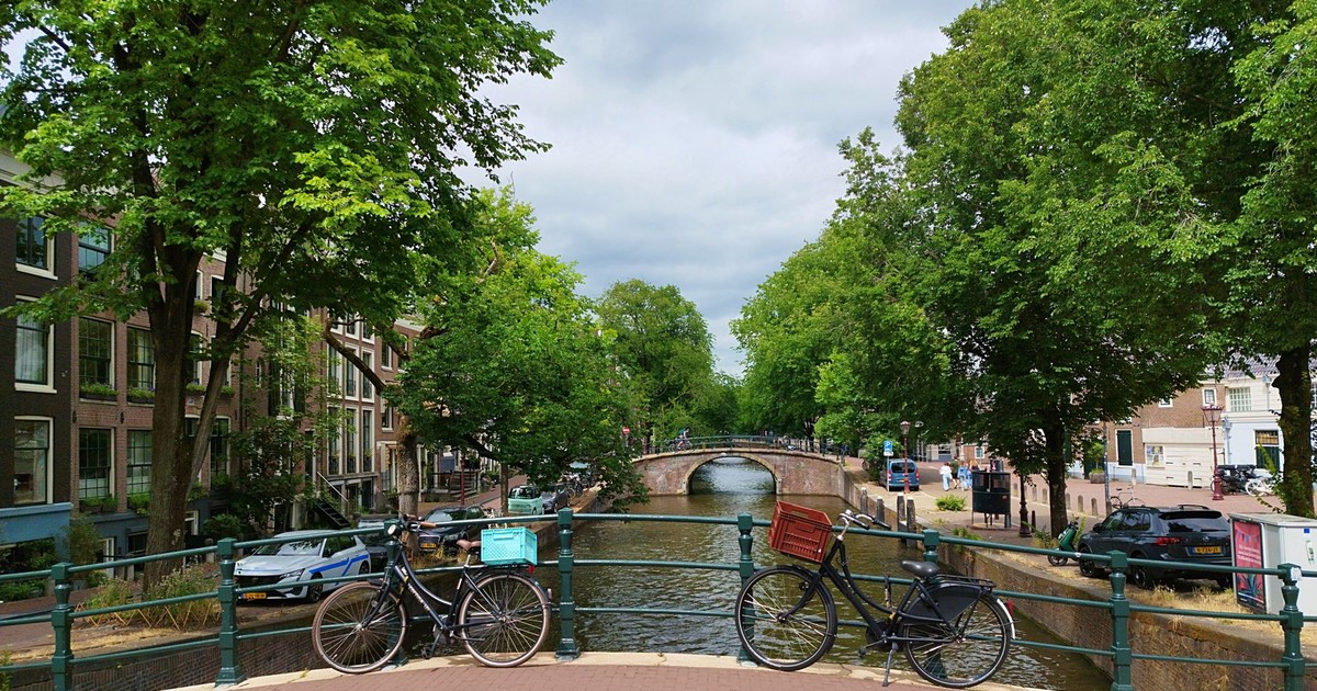 Scenic view of bicycles on a bridge overlooking a canal in Amsterdam, lined with trees and historic buildings.