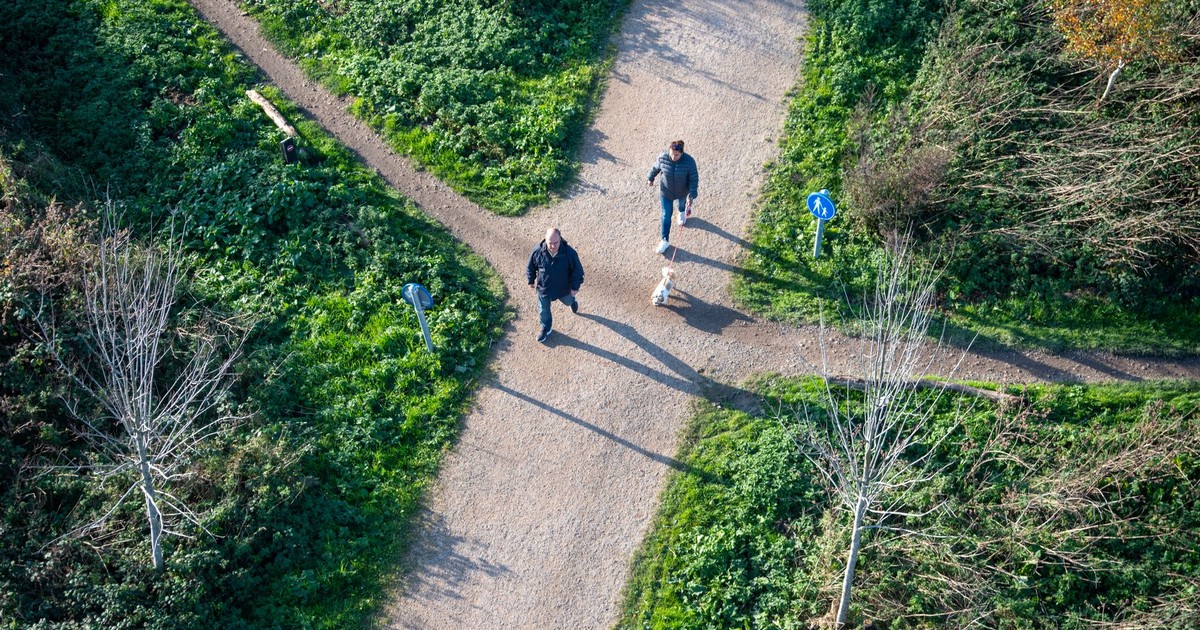Aerial photo of two people walking with a dog on a scenic nature trail.