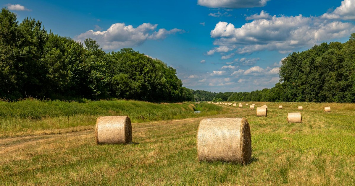 Peaceful summer landscape with hay bales in a field under a blue sky in Garešnica, Croatia.