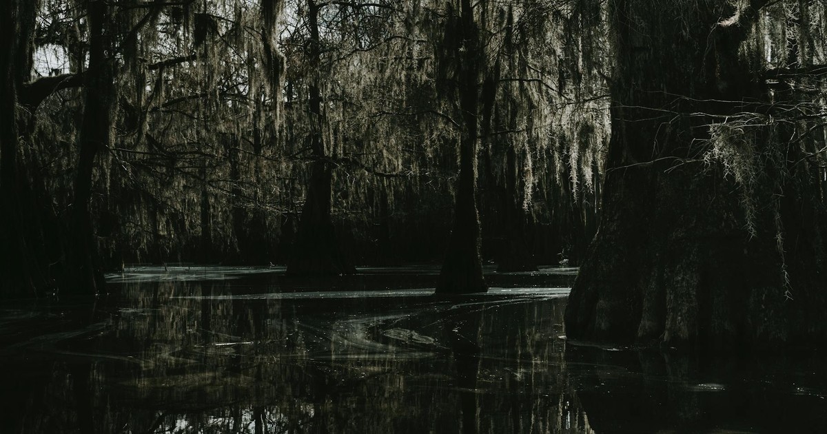A mysterious swamp scene with cypress trees and Spanish moss creating a dark and eerie atmosphere.