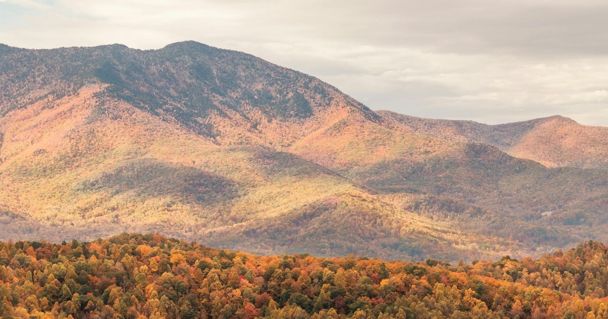 Beautiful autumn landscape of the Great Smoky Mountains with vibrant fall foliage.